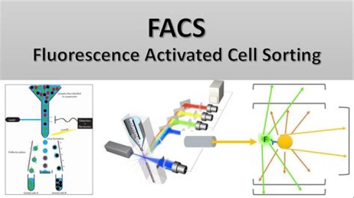 What is FACS technique