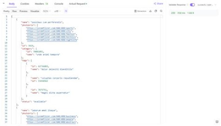 What is JSON API in Android