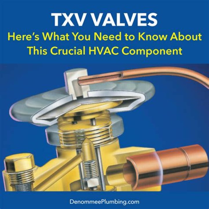 What is meant by a dual port Txv