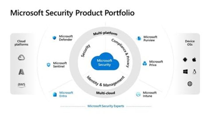 What is Microsoft Security