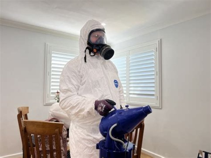 What is Mould fogging