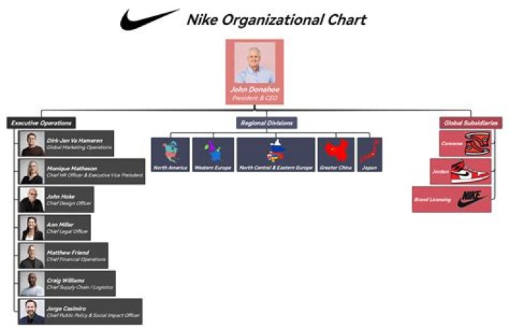 What is Nikes capital structure
