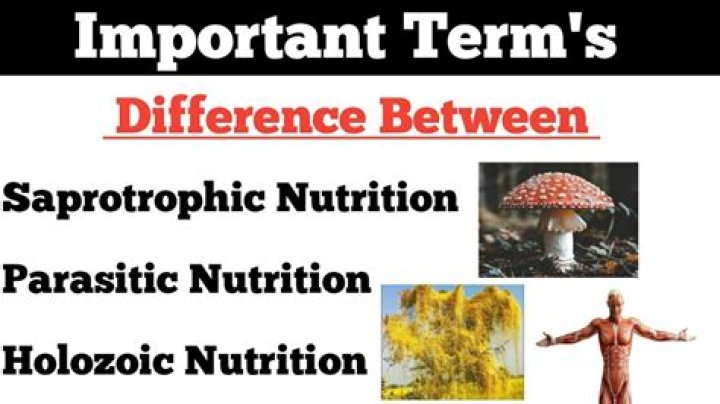 What is parasitic and Saprotrophic nutrition