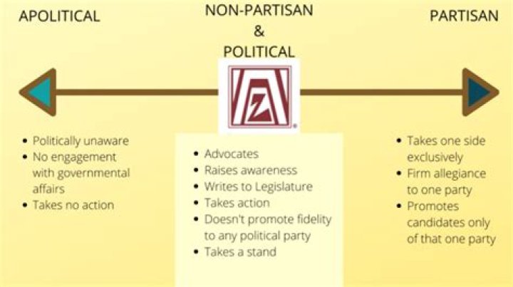 What is partisan function