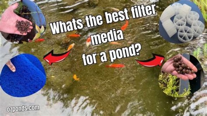 What is pond filter media