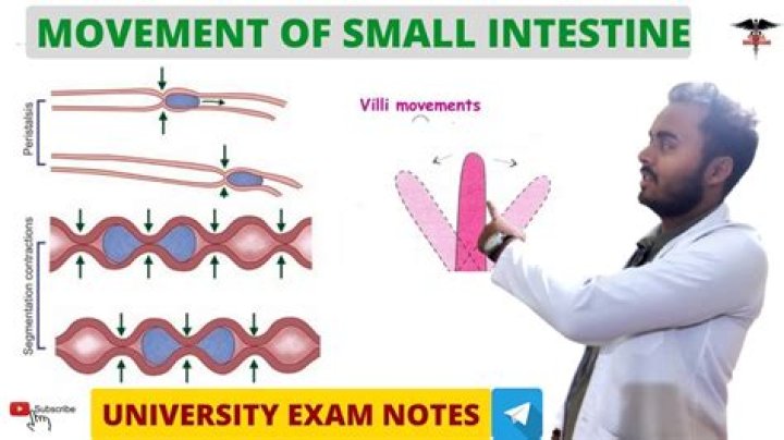 What is propulsive movement