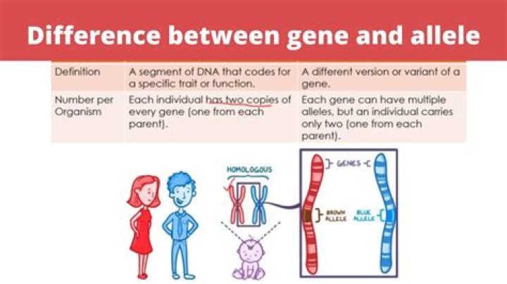 What is pseudogene in biology