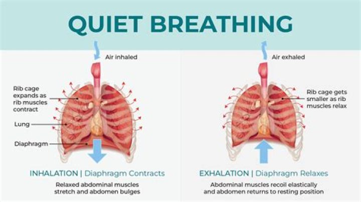 What is quiet breathing