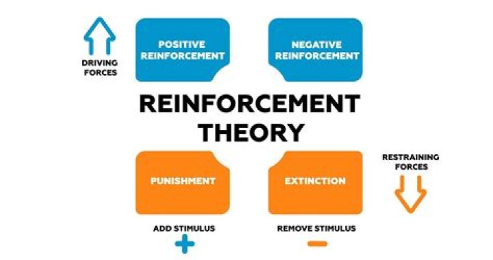 What is reinforcement theory in management