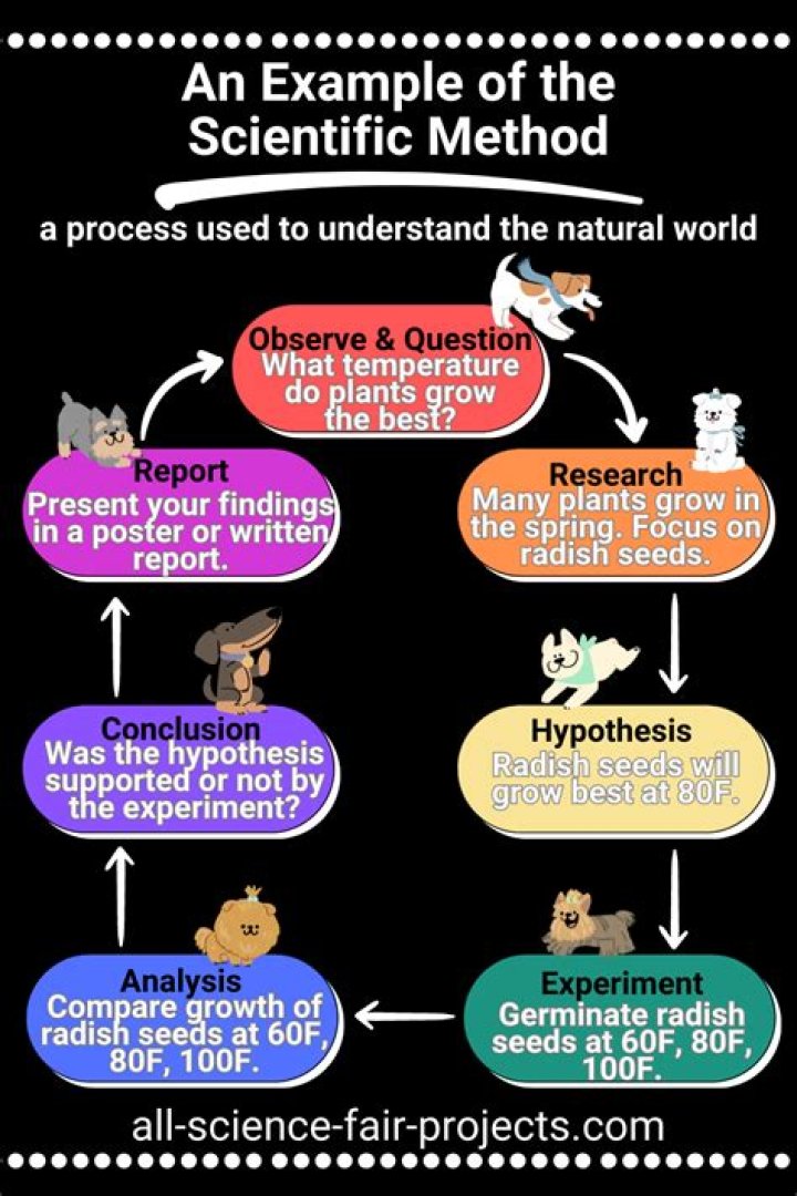 What is the application of scientific method
