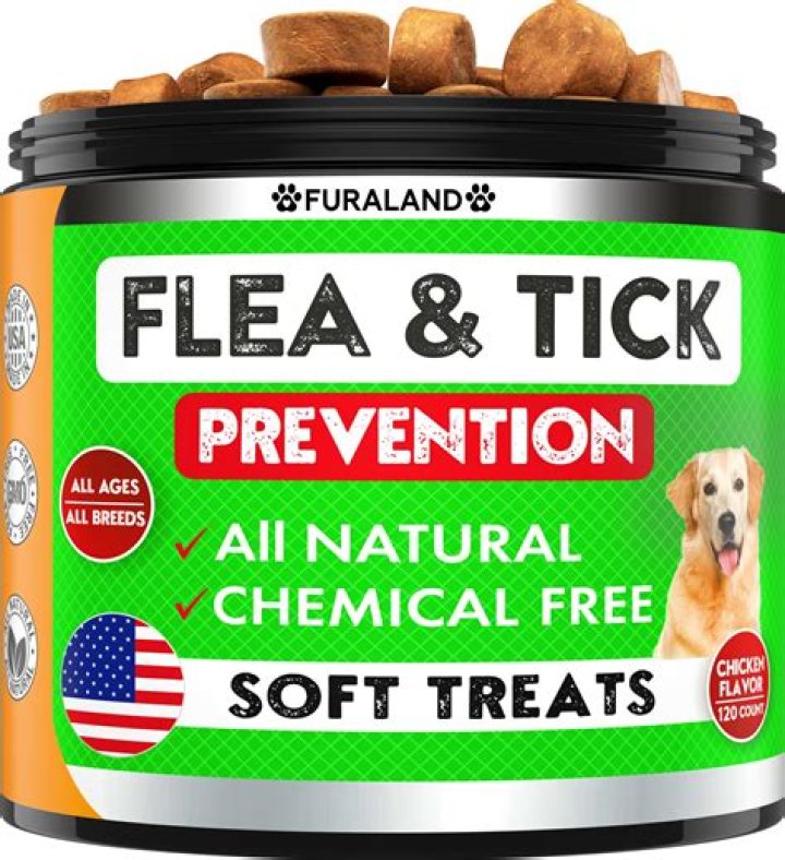 What is the best flea and tick powder