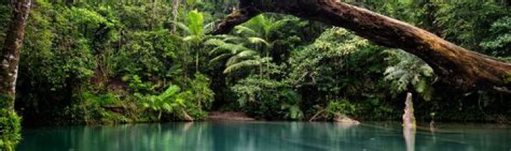 What is the best time to visit the Daintree rainforest