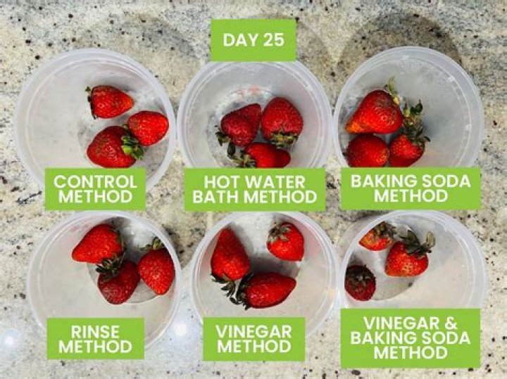 What is the best way to clean a greenhouse