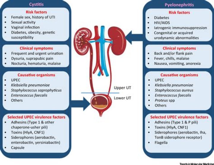 What is the difference between Urosepsis and sepsis