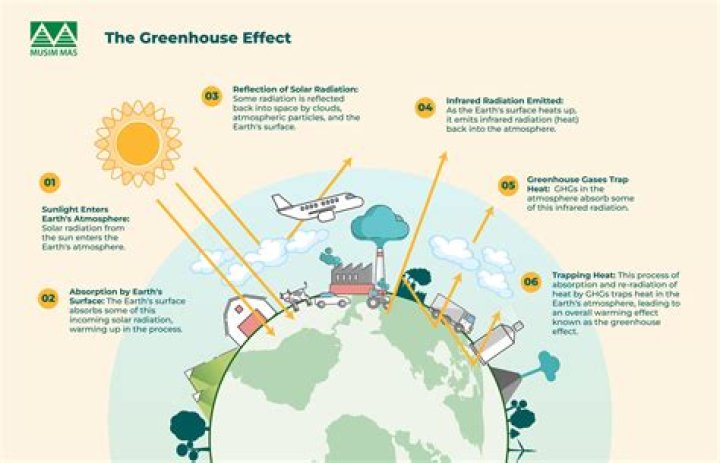 What is the greenhouse effect in simple terms