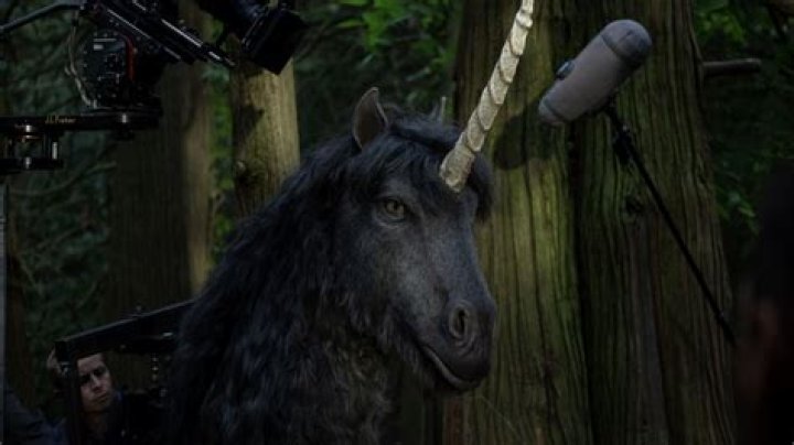 What is the name of the Unicorn in Despicable Me