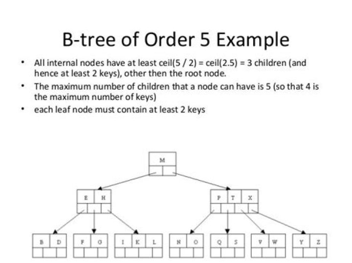 What is the order of B tree