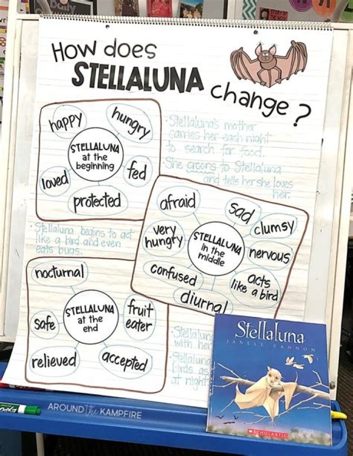 What is the problem in stellaluna