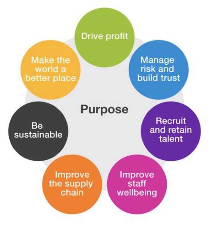 What is the purpose of this virtual lab