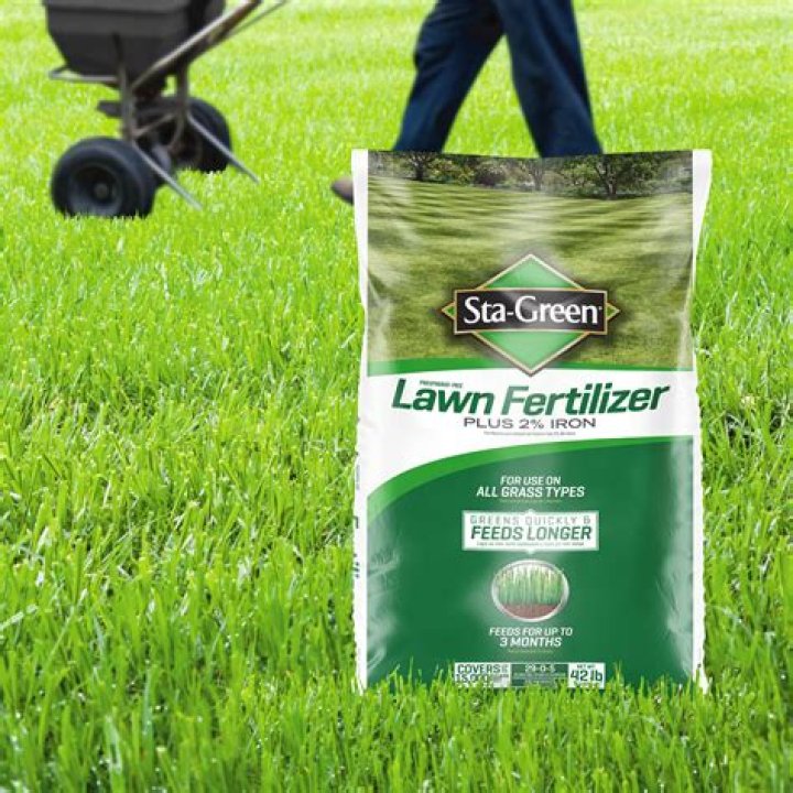 What is the safest lawn fertilizer