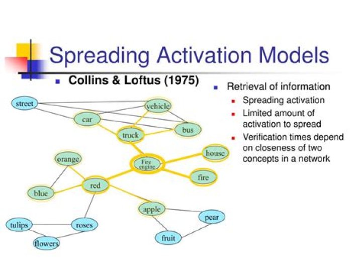What is the spreading activation model
