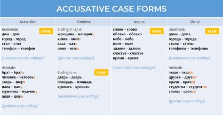 What is the use of the accusative case in Latin