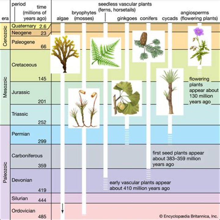 What kind of plants were in the Quaternary Period