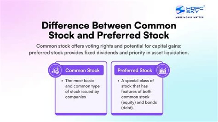 What means preferred stock