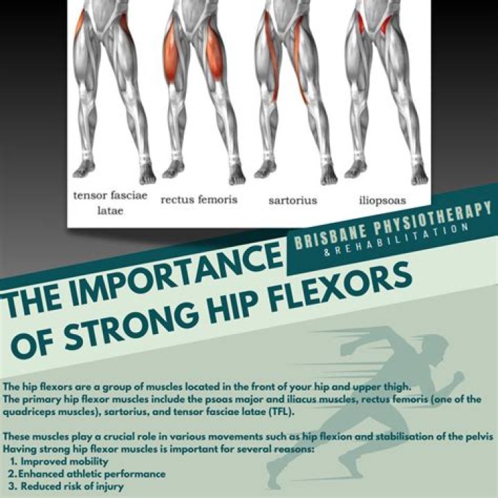 What nerve Innervates hip flexors
