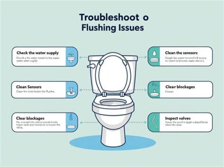 What should I do if my toilet is not Flushing?