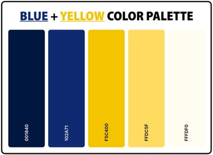 What teams colors are blue and yellow