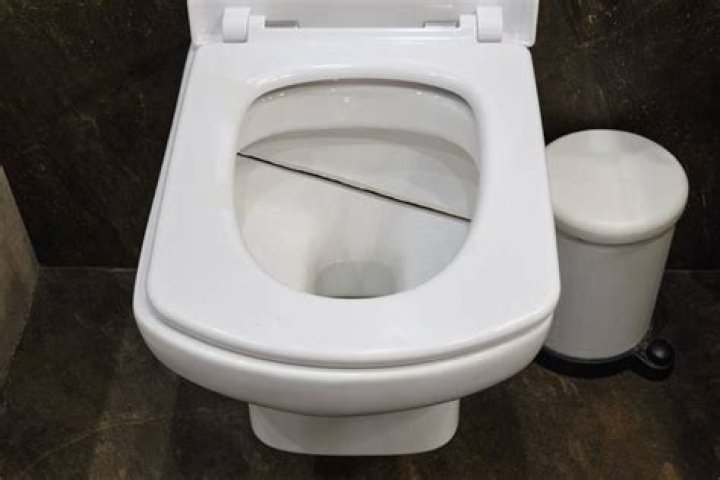 What to do if you have a cracked toilet bowl?