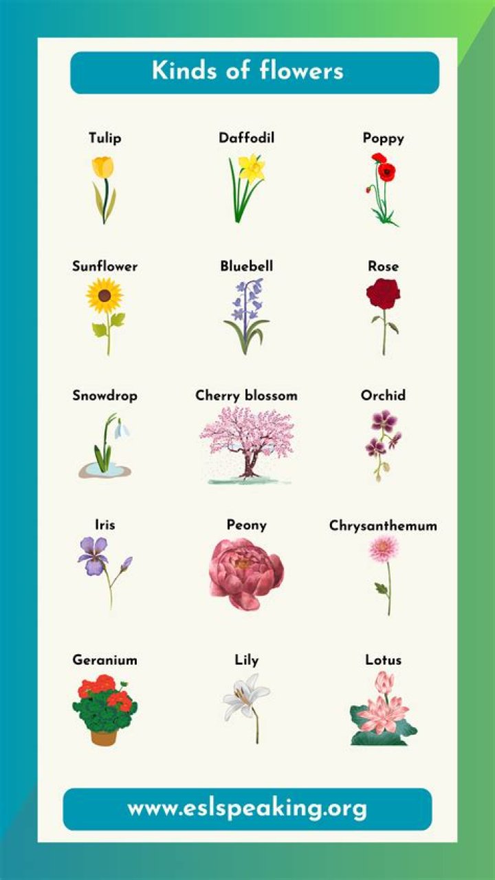 What type of flowers smell good