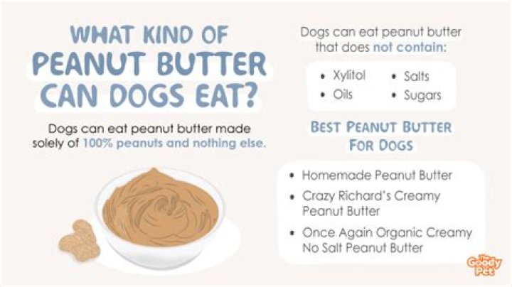 What Type Of Peanut Butter Is Bad For Dogs