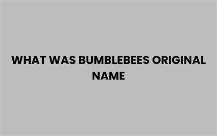 What was bumblebees original name