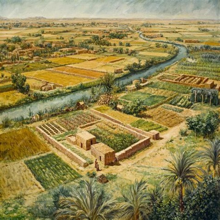 What were the main crops grown in ancient Mesopotamia