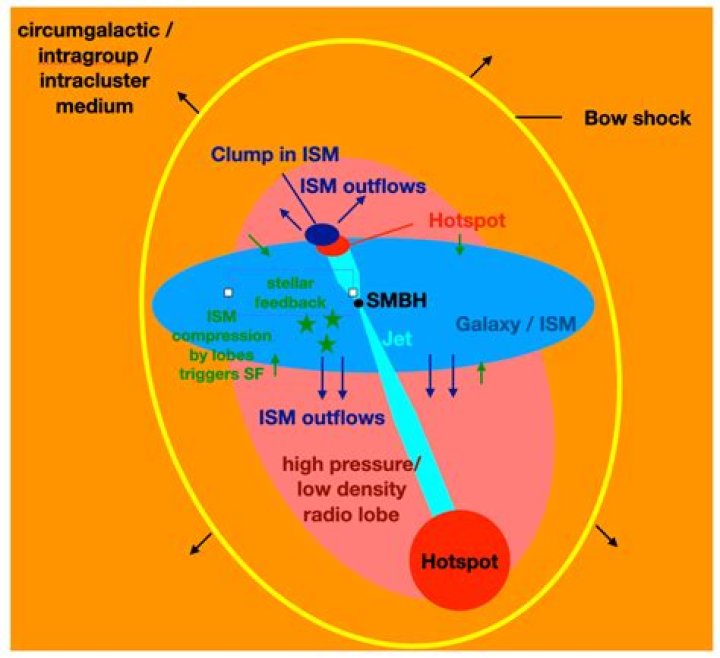 Whats the hottest component of the interstellar medium