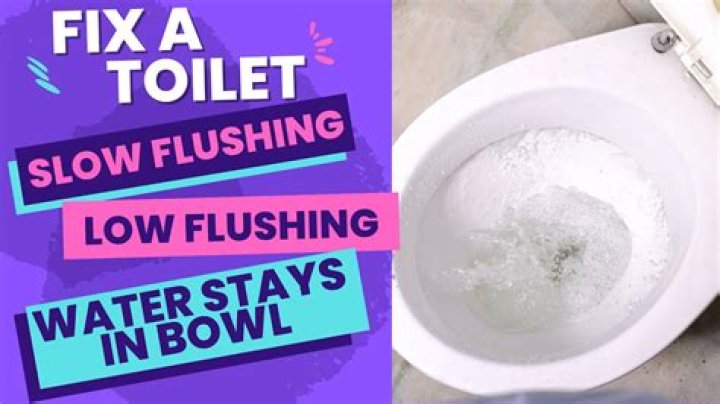 When I flush My toilet water comes up in My shower?