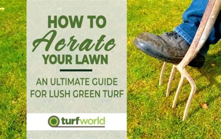 When Should I aerate my lawn UK