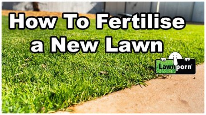When should I fertilize new fescue