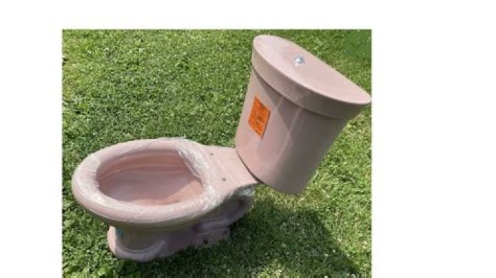 Where is the model number on a Briggs toilet?