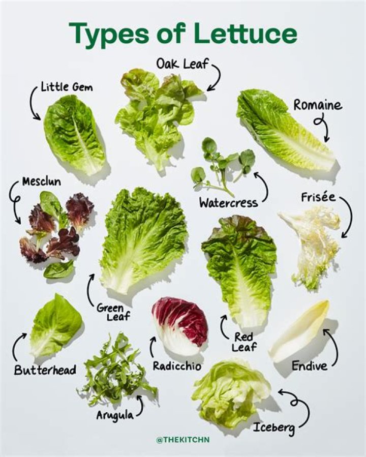 Which country does lettuce come from