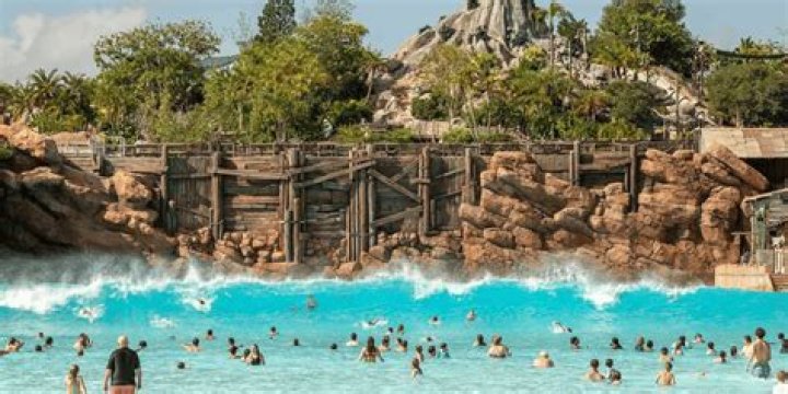 Which Disney water park closed