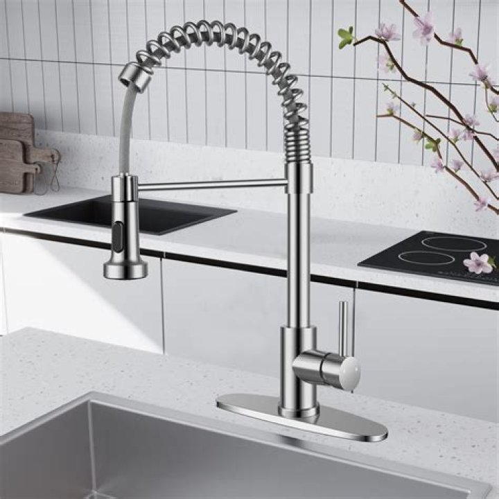 Which is Moen kitchen pull down kitchen faucet?