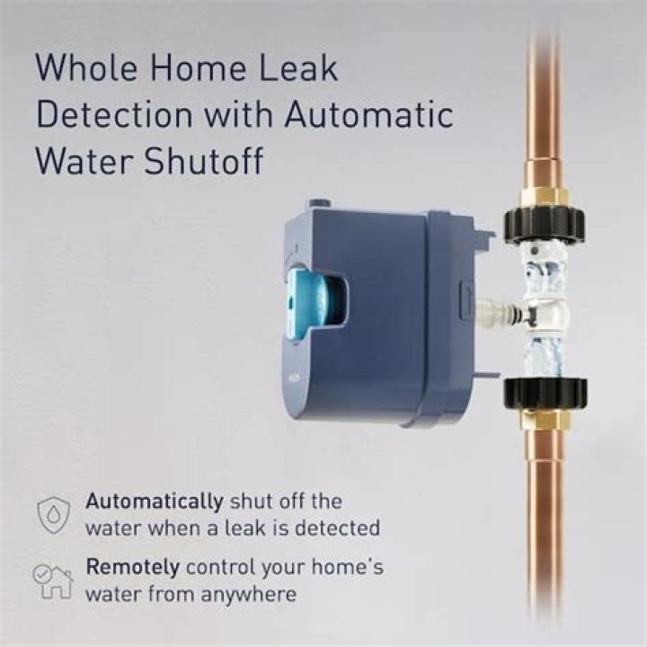 Which is the best smart water shut off valve?