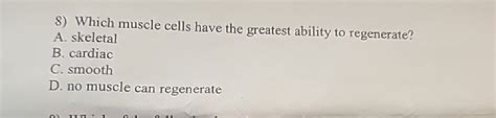 Which muscle cells have the greatest ability to regenerate