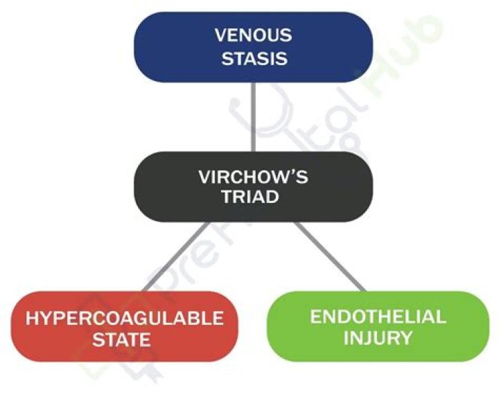 Which of the following are part of the venous thrombosis Triad