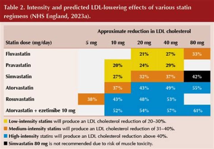 Which statin causes least problems
