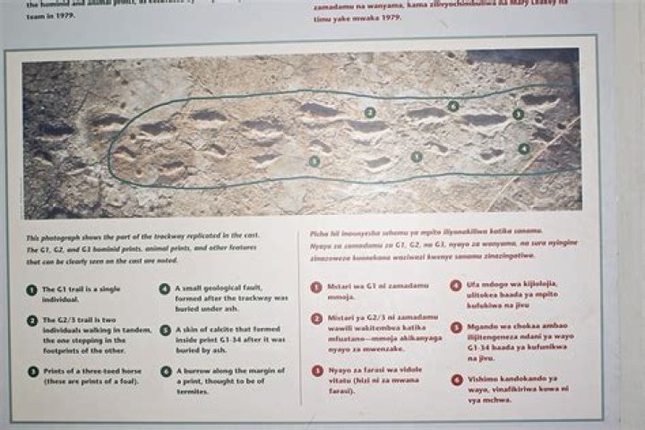 Which technique was used to date the Laetoli footprints