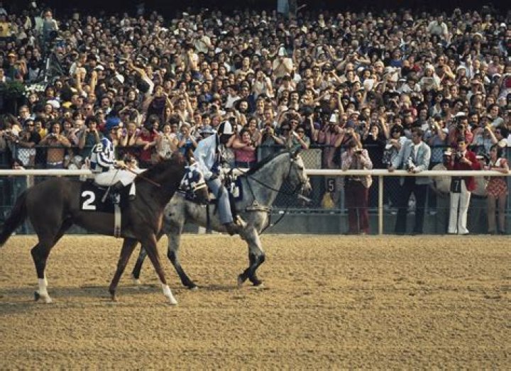 Who came in second in the 1973 Belmont Stakes